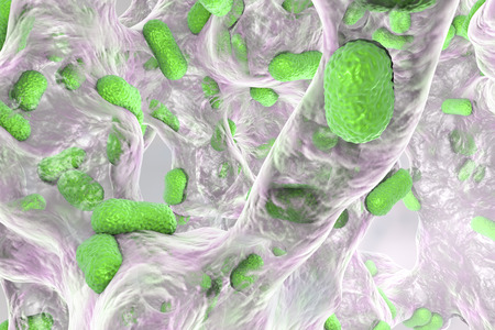 Biofilm of bacterium Acinetobacter baumannii, 3D illustration. Acinetobacter is antibiotic resistant...