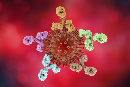 HIV and antibodies, 3D illustration. Concept for treatment of HIV infection and AIDSの写真素材