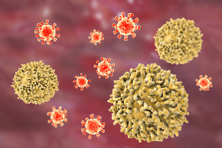 Lymphocytes and viruses. Immune defense. 3D illustration