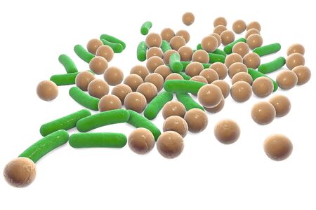 Microbes of different shapes. Rod-shaped and spherical bacteria isolated on white background. 3D...