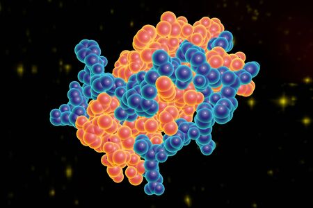 Molecular mode of leptin, human obesity protein, 3D illustrationの写真素材