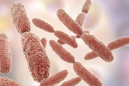 Bacteria Klebsiella, 3D illustration. Gram-negative rod-shaped bacteria which are often nosocomial...