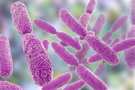 Bacteria Klebsiella, 3D illustration. Gram-negative rod-shaped bacteria which are often nosocomial...
