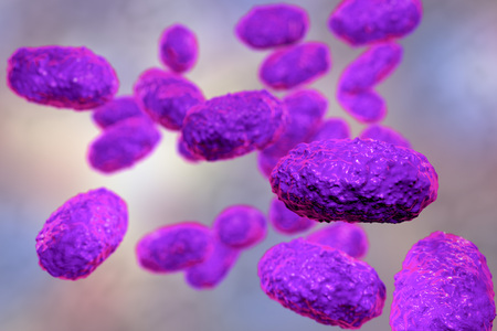 Bacteria Bordetella pertussis, 3D illustration. Gram-negative coccobacilli bacteria which cause...