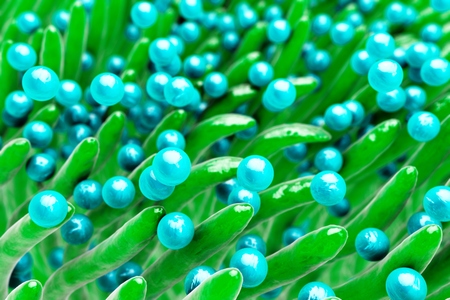 Bacteria Staphylococcus in nose. 3D illustration shows spherical bacteria Staphylococcus aureus...