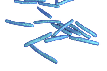 Bacteria Mycobacterium tuberculosis isolated on white background, the causative agent of tuberculosis, 3D illustrationの写真素材