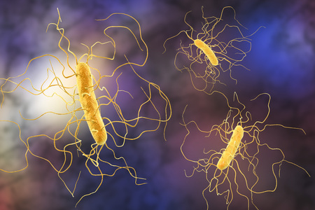 Clostridium difficile bacteria, 3D illustration. Bacteria which cause pseudomembraneous colitis and are associated with nosocomial antibiotic resistanceの写真素材