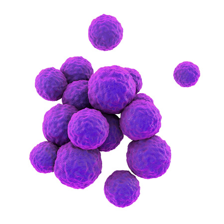 Bacteria methicillin-resistant Staphylococcus aureus MRSA, multidrug resistant bacteria, isolated on white background, 3D illustrationの写真素材