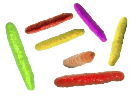 Rod-shaped highly-detaled bacteria isolated on white background, 3D illustration