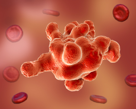 Entamoeba histolytica protozoan. Parasite which causes amoebic dysentery and ulcers, 3D illustration