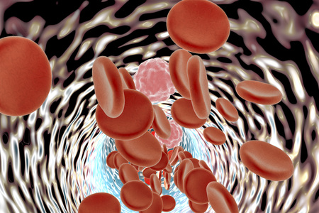 Inside blood vessel with red blood cells and white blood cells. 3D illustration
