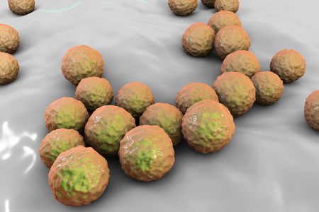 Bacteria Enterococcus, 3D illustration. Gram-positive cocci which cause infant endocarditis and other infectionsの写真素材