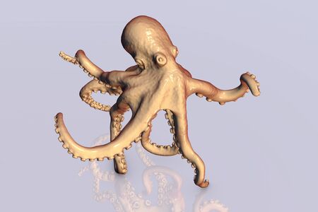 Octopus on a plane with reflection, 3D illustrationの写真素材