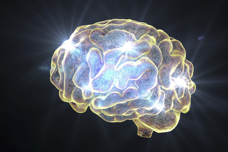 Human brain isolated on black background, 3D illustrationの写真素材