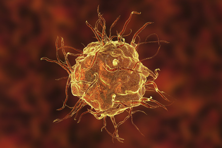 Macrophage cell, monocyte, close-up view of immune cell, 3D illustrationの写真素材