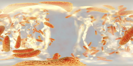 360-degree spherical panorama view inside biofilm of antibiotic resistant bacteria Klebsiella. 3D...
