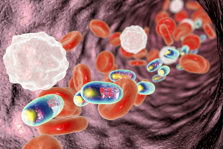 Delivery of medicines inside polymer nanoparticles, conceptual image. 3D illustration