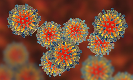 Measles viruses. 3D illustration showing structure of measles virus with surface glycoprotein spikes...