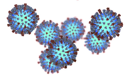 Measles viruses isolated on white background. 3D illustration showing structure of measles virus with surface glycoprotein spikes heamagglutinin-neuraminidase and fusion proteinの写真素材