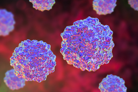 Porcine parvoviruses, 3D illustration, A virus which causes infection of fetus in swine leading to...