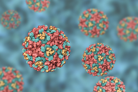 Eastern equine encephalitis virus, 3D illustration. An RNA Alphavirus from Togaviridae family transmitted by mosquiotes which causes encephalitis in animals and humansの写真素材