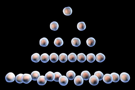 Cell division isolated on black background, 3D illustration