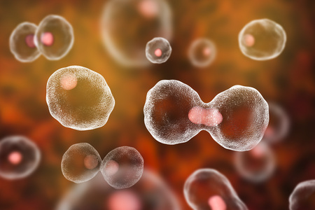 Dividing cells on colorful background, 3D illustration