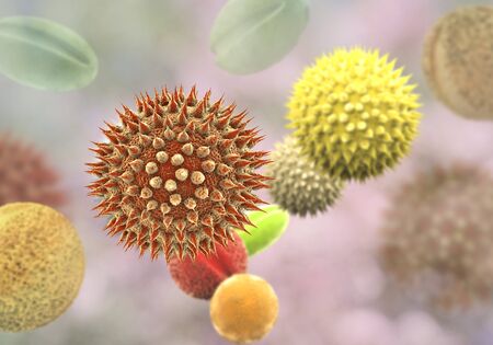 Pollen grains from different plants, 3D illustration. They are factors causing hay fever and allergic rhinitisの写真素材