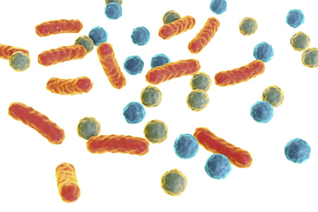 Bacteria of different shapes isolated on white background, 3D illustration