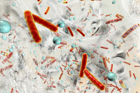 Antibiotic resistant bacteria inside a biofilm, 3D illustration. Realistic scientific background
