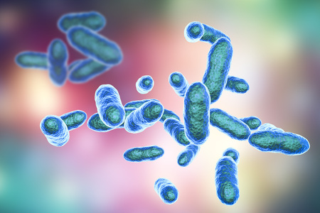 Tannerella forsythia bacteria, 3D illustration. Gram-negative anaerobic bacteria that cause periodontal diseases and have found to be associated with esophageal cancerの写真素材