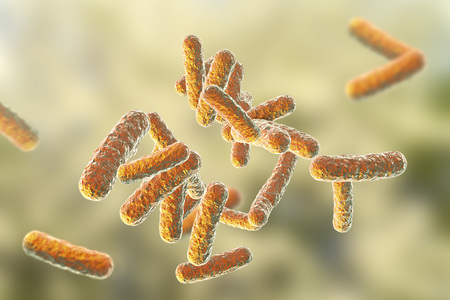 Human pathogenic bacteria on colorful background, 3D illustrationの写真素材