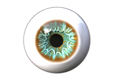 Realistic human eye isolated on white background, 3D illustrationの写真素材