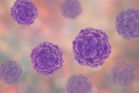 TTV hepatitis virus, transfusion transmitted or torque teno virus, 3D illustrationの写真素材