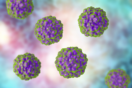 TTV hepatitis virus, transfusion transmitted or torque teno virus, 3D illustration