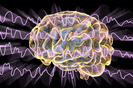 EEG Electroencephalogram, brain wave during sleeping, 3D illustrationの写真素材