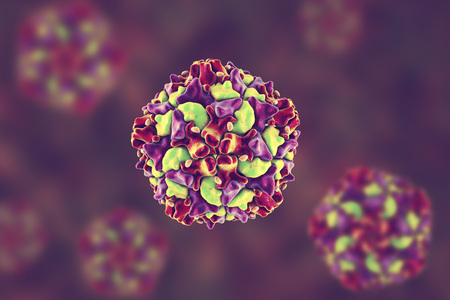 Poliovirus, an RNA virus from Picornaviridae family that causes polio disease, 3D illustrationの写真素材