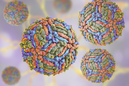 West Nile virus WNV, 3D illustration. A virus transmitted by mosquito and causing West Nile feverの写真素材