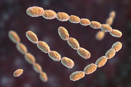 Haemophilus ducreyi bacteria, 3D illustration. Gram-negative coccobacillus, which causes the...