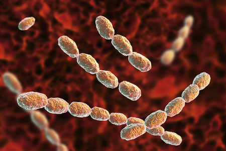 Haemophilus ducreyi bacteria, 3D illustration. Gram-negative coccobacillus, which causes the...