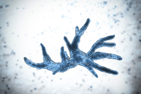 Balamuthia mandrillaris amoeba, 3D illustration. A free-living protozoan in soil and water, can cause granulomatous amoebic encephalitis of the brainの写真素材