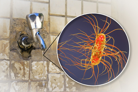 Safety of drinking water concept, 3D illustration showing Escherichia coli bacteria contaminating drinking waterの写真素材