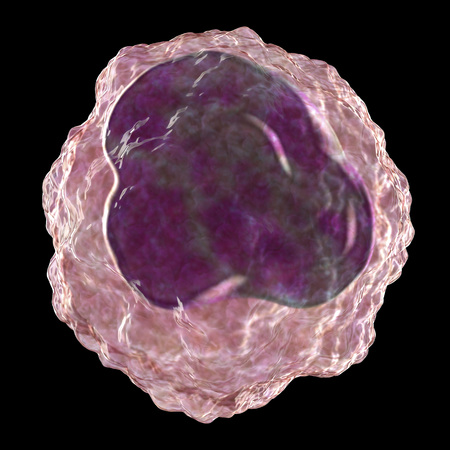 Monocyte white blood cell, 3D illustration isolated on black background with clipping pathの写真素材