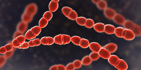 Bacteria Streptococcus thermophilus, 3D illustration. Probiotic Gram-positive spherical bacteria...