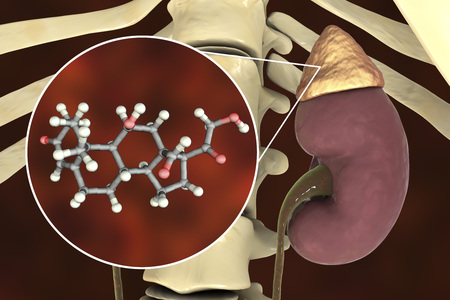 Aldosterone hormone, mineralocorticoid hormone produced by adrenals, 3D illustration