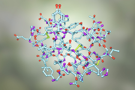 Molecular model of insulin hormone, 3D illustration. It is produced by pancreas and takes part in glucose and lipid metabolismの写真素材