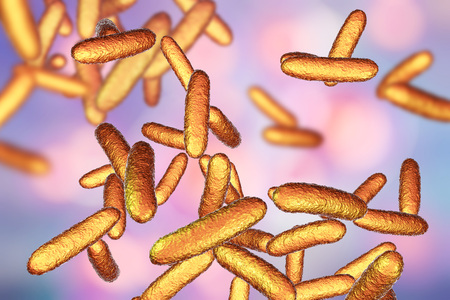 Bacteria Citrobacter, Gram-negative coliform bacteria from Enterobacteriaceae family, 3D...