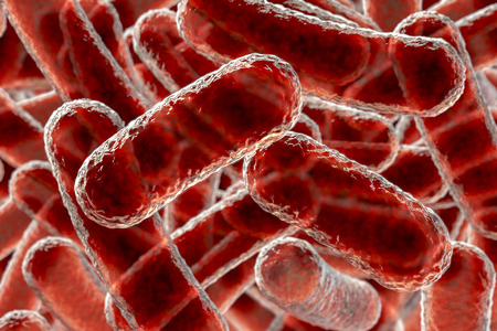 Close up view of rod shaped bacteria, 3D illustration