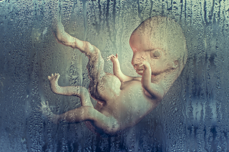 Social awareness concept against abortion. 3D illustration showing 8-weeks human embryo behind window glass with rain condensation illustrating post-abortion depressionの写真素材