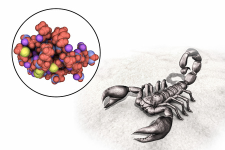 Molecule of scorpion chlorotoxin, 3D illustration. A peptide from venom of deathstalker scorpion...